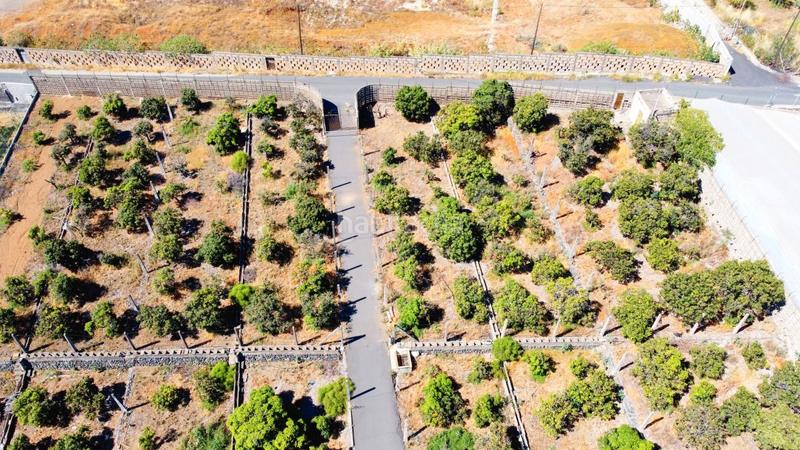 Foto b7396a8e-8362-4418-9388-f58e9452d9a5. Finca rústica en Centro Güímar