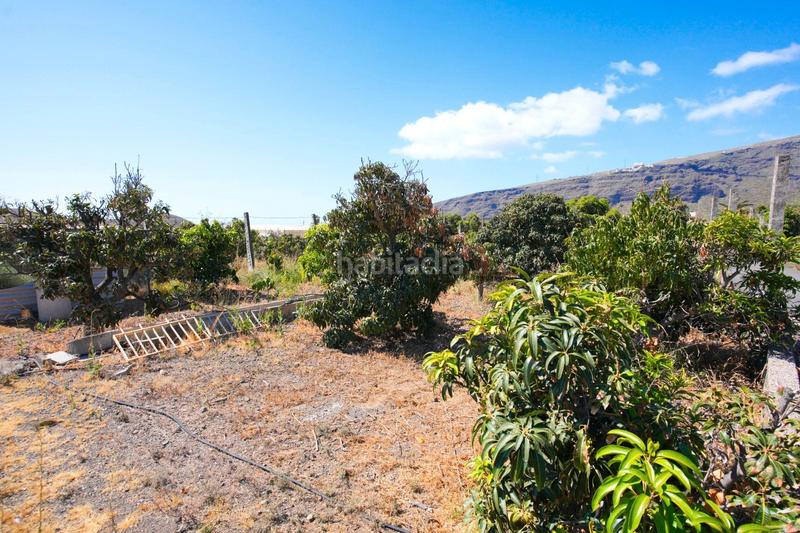 Foto d4134969-aee9-49e3-84ec-c4933c152219. Finca rústica en Centro Güímar