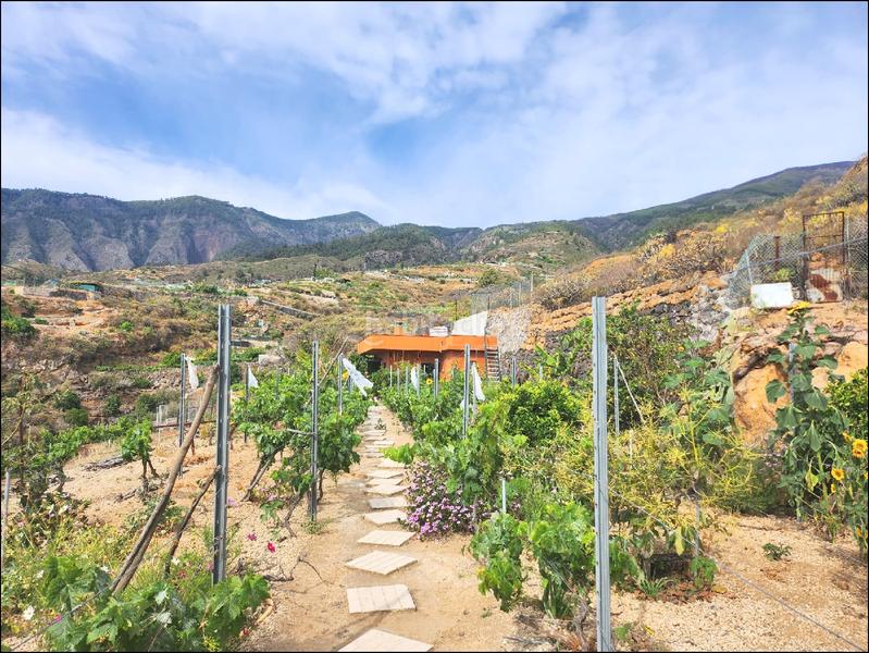 Foto 5b8b0b9f-1547-4938-8317-3a8b1d0df9c0. Mas avec cheminée dans Centro Güímar