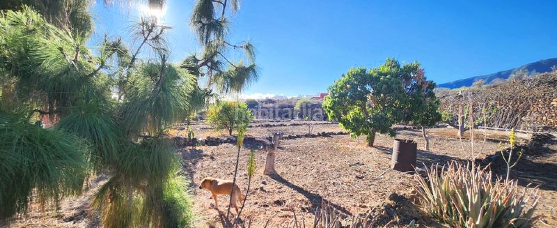 Foto a0c9f9b4-de0f-465a-a37b-9f0348320161. Casa in Centro Güímar