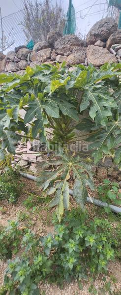 Foto 4f2e7d75-c9cb-4e39-a641-245d9069b598. Finca rústica a Arico