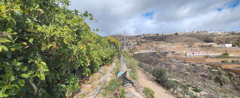 Foto a0e5650e-0200-4ba4-93c8-68e2cafbe22a. Finca rústica a Arico