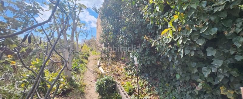 Foto c7351de7-0eb9-4595-a541-73a2c91e6c9c. Finca rústica a Arico