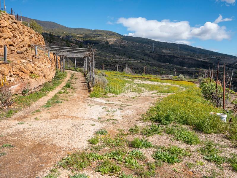 Foto 0be3057b-9b19-4786-951f-0354c4a7f047. Finca rústica en Fasnia