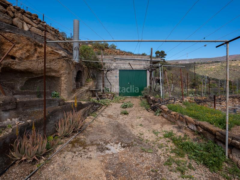 Foto 18dee0d7-5e3e-43a3-be22-8d2ceece436e. Finca rústica en Fasnia