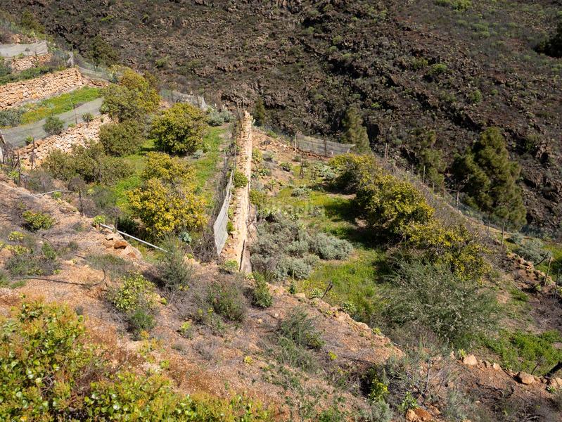 Foto 765bce6c-a5ee-4c22-a357-8a750c841c63. Finca rústica en Fasnia