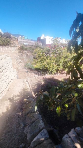 Foto 40c8a99a-5d35-4330-9c3c-e15876759b88. Terreny residencial a Centro Güímar