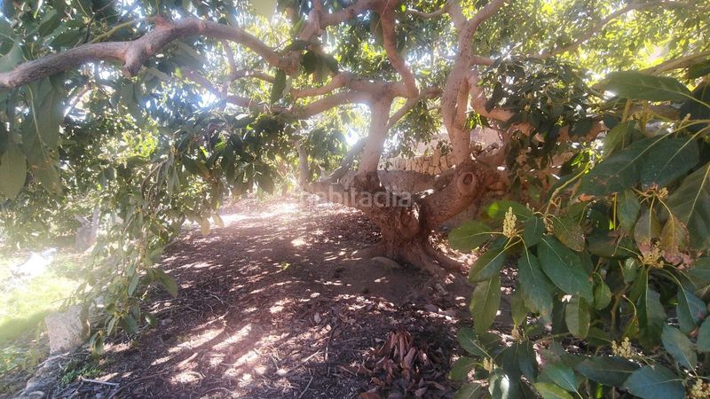 Foto 5d87bd7b-b999-4f52-a221-d55e334be722. Terreny residencial a Centro Güímar