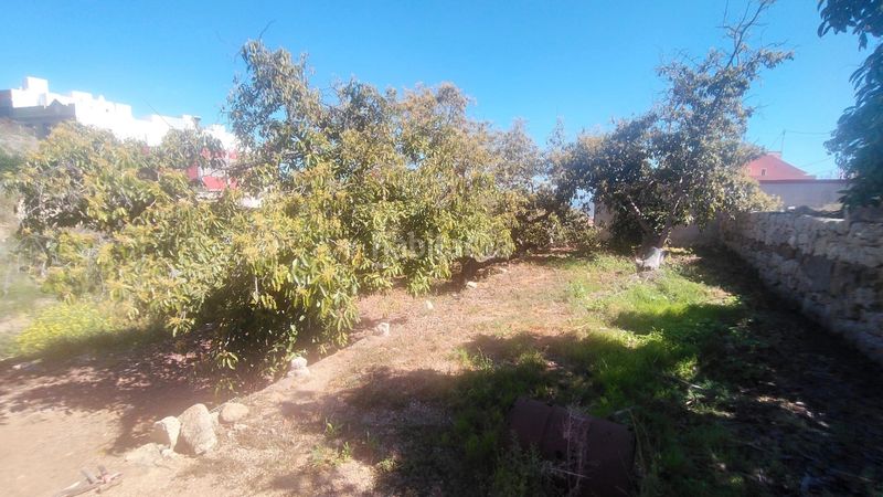 Foto a3b62300-1513-416f-aa9c-7c4d218dec27. Terreny residencial a Centro Güímar