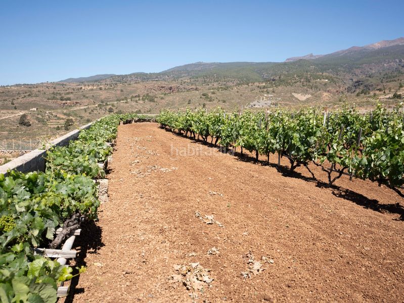 Foto 728234f9-ae33-43a3-b7fa-7f72ee5ad390. Finca rústica a Arico