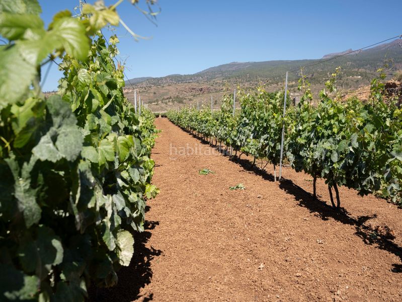 Foto c6584790-5b98-4867-8fc2-465eb40155b8. Finca rústica a Arico