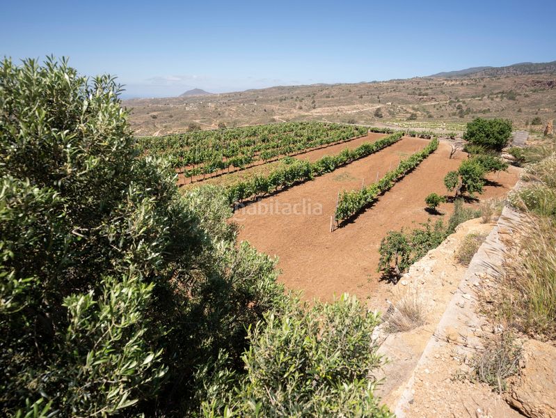Foto e2dbab69-b53b-450d-8bd0-8e56f93997a2. Finca rústica a Arico