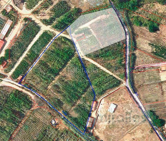 Foto da440428-4ab0-4c1a-bbeb-a28fd3f0ee78. Miete landgut in Les Pinedes Vilassar de Mar