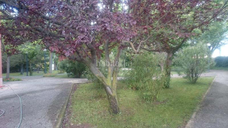 Foto 4ed0d8e0-0ff9-4c44-850c-fa5a5e1c210d. Xalet amb xemeneia calefacció aparcament piscina a Ainzón