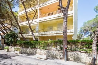 Apartamento  Avinguda de la mediterrnia. Encantador apartamento de dos habitaciones a un minuto del mar.
