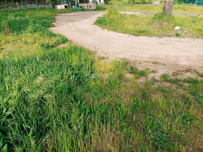 Foto 6dede65a-bbe6-4ef2-838d-6b31eb833d6d. Landgut in Llagostera