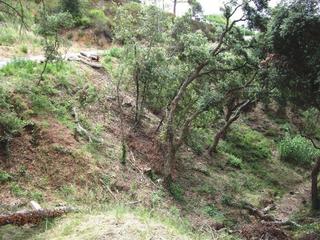Landgut  Calle eucaliptus