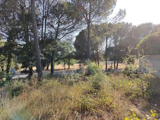 Rural plot in Calle de blanes 95