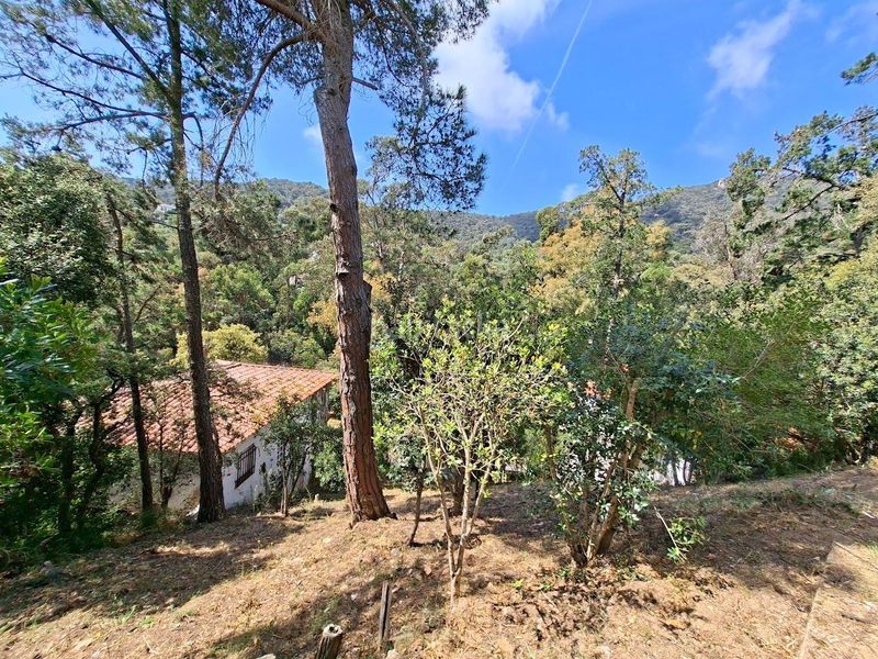 Foto 45205bb7-67ef-46fd-b878-50027b7bfa6f. Casa amb calefacció aparcament a Rosamar Santa Cristina d´Aro