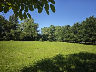 Rural plot in Oruña. Finca rústica en venta en oruña de piélagos