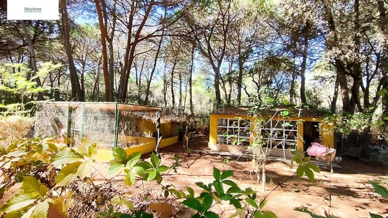 Foto a048c3fd-3dce-4c89-8a74-6882872132b0. Chalet  en los pinares del júcar en Pedanías - Extrarradio Albacete