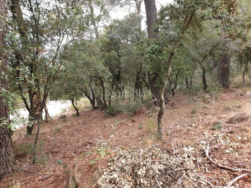 Foto dd58eb88-b34f-491c-b362-dfed00c93e9a. Terreny residencial a Matadepera