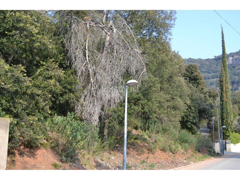 Foto f368ba3d-4e00-43e4-bfeb-f0ab0b10d534. Terreny residencial a Matadepera