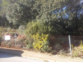 Finca rústica  Dalt. Parcela plana en las pedritxes
