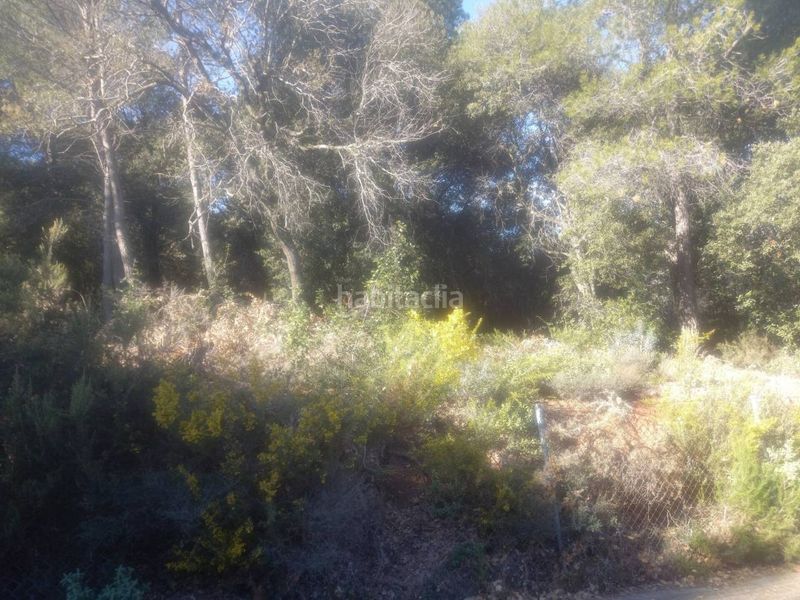 Foto 7f9e898a-dddc-4bda-8f0e-4e9b087c836d. Finca rústica a Matadepera