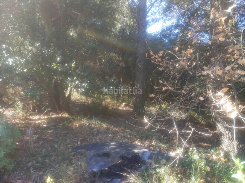 Foto be768df3-bc01-4b5f-8167-47c941dfe259. Finca rústica a Matadepera