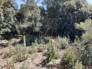 Landgut  Avinguda can marcet. Terreno en venta en matadepera