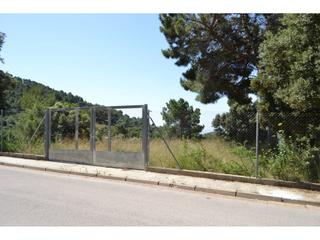 Finca rústica en RAJANT