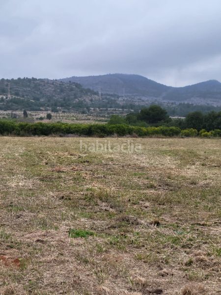 Foto b8dd22f3-3c2d-4d7e-9f48-fed4c17e3f68. Finca rústica a Borriol