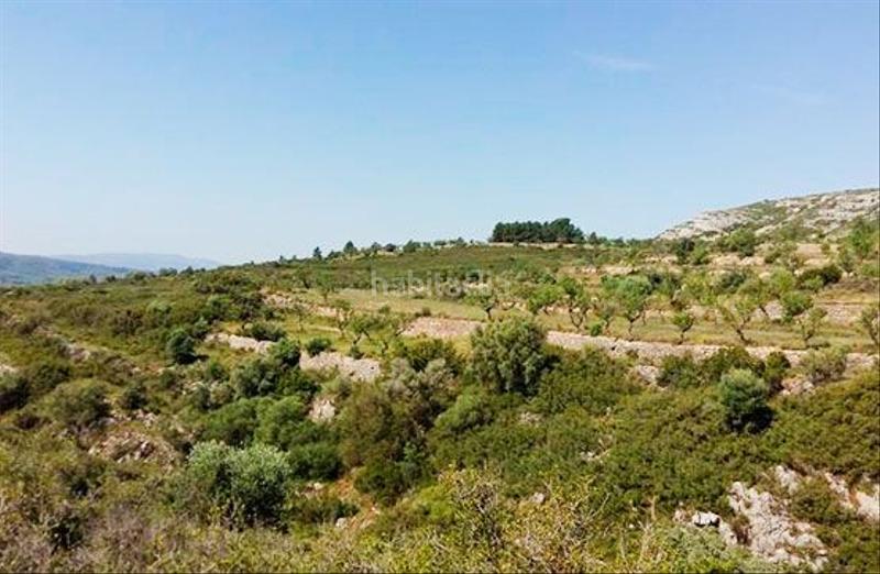Foto 49732aa0-6ff5-4f9b-8c6f-d4ec47f9a0f4. Rural plot in Sant Mateu