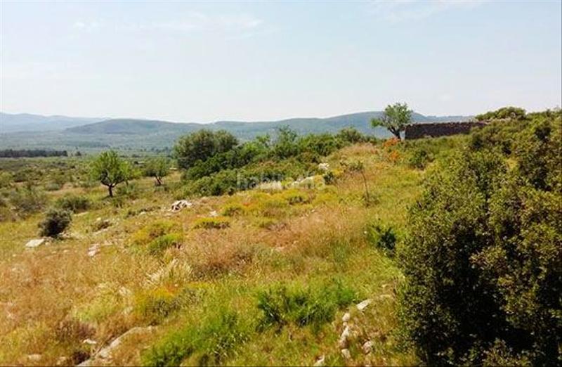 Foto bbce7fde-1dc9-41ff-a3a2-9cc7a36f4121. Rural plot in Sant Mateu