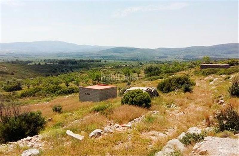 Foto 05d539ea-2c67-46e5-af79-d0ac9fa0212b. Finca rústica en Sant Mateu