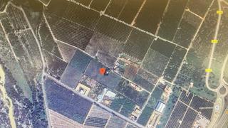 Finca rústica a Borriol. Excelente parcela a la venta