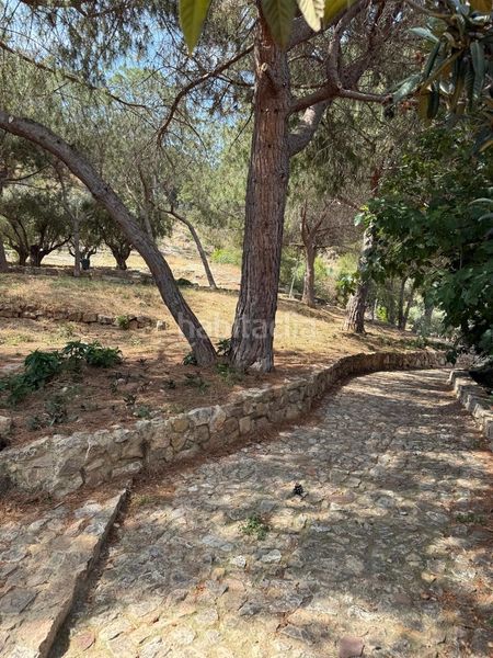 Foto a8538792-8129-490f-b3ef-0202ad9b67fe. Casa a Centro-El Castillo Sagunt