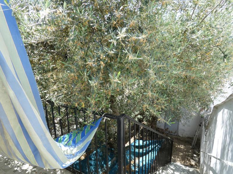 Foto 55795727-5490-4d55-91b0-38d57aa2eaa9. Casa  proxima al centro en Azuaga