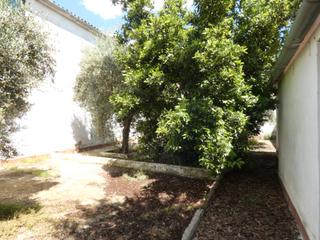 Casa a Azuaga. Casa con amplio patio-jardin