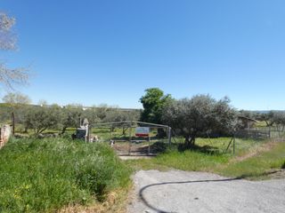 Finca rústica  Calle real. Parcela rustica "huerta"