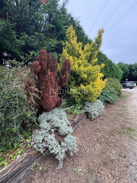 Foto 2ddafbd2-348f-41e9-823d-8cb4c0cbd0ee. Bauernhof mit parking in Bezana - Prezanes Santa Cruz de Bezana