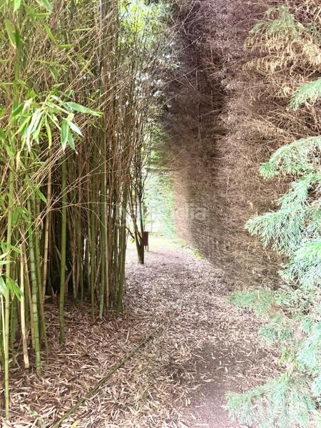 Foto c0c96703-3ad1-451f-ae47-4c8f2bc37543. Bauernhof mit parking in Bezana - Prezanes Santa Cruz de Bezana