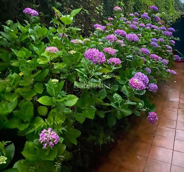 Foto 83f915a6-4d5c-41ea-b206-b809b88568a2. Chalet with heating parking pool in Arce Piélagos