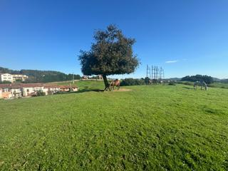 Terreno residenziale in Oruña. Venta de solar para promoción de viviendas