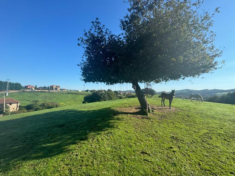 Foto ec5388fa-c326-44ea-9966-ec14fe595229. Terrain résidentiel dans Oruña Piélagos