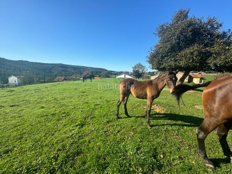 Foto f8df514a-d176-4725-9a9d-fd560de538e6. Terrain résidentiel dans Oruña Piélagos
