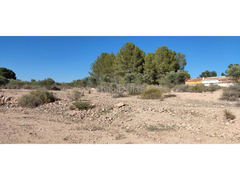 Foto af65d648-d24b-4a6e-bb68-8868a19476e2. Finca rústica a Hellín