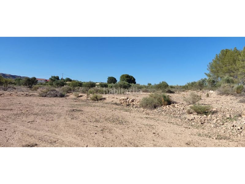 Foto b80494b8-84cd-4177-b6f8-b5660daa59e9. Finca rústica a Hellín