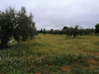 Rural plot  Calle ctra de tobarra. Terreno en venta en hellín